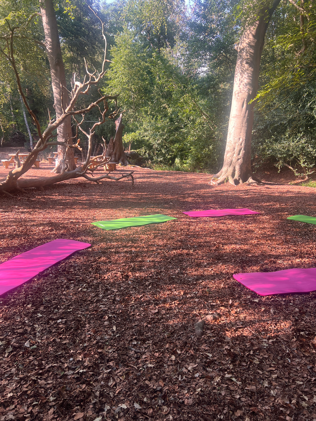 Pop-Up Pilates Sunningdale Village